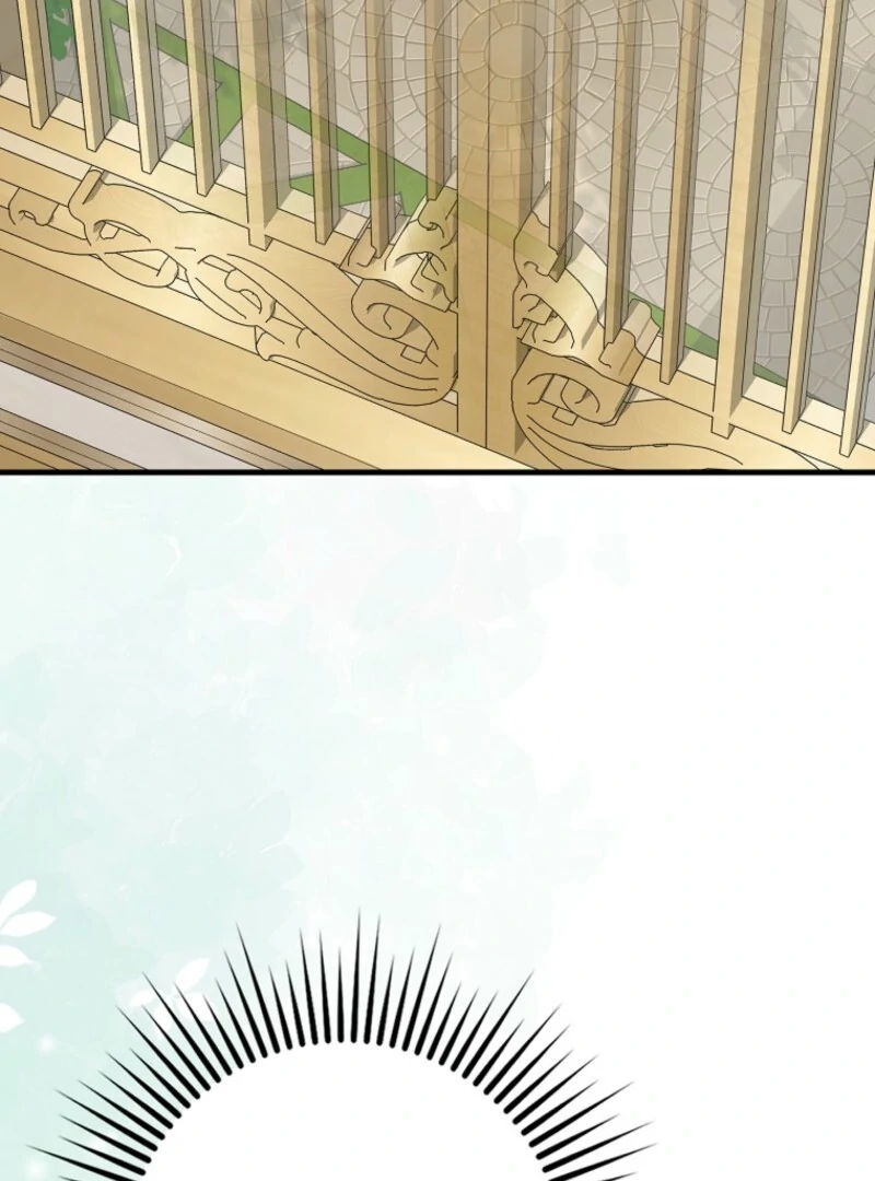 Read The snow leopard baby of the black leopard family Manga Online