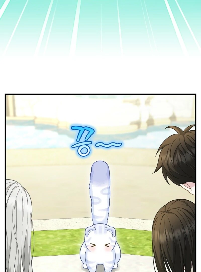 Read The snow leopard baby of the black leopard family Manga Online