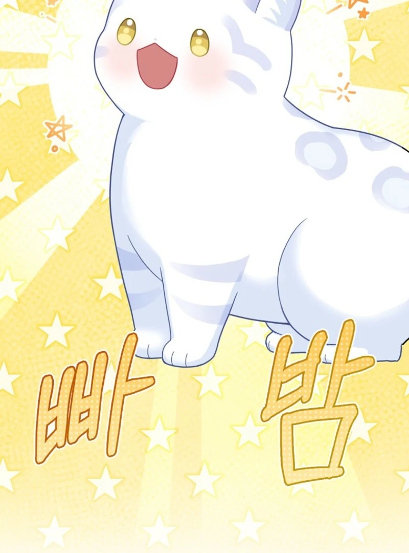 Read The snow leopard baby of the black leopard family Manga Online