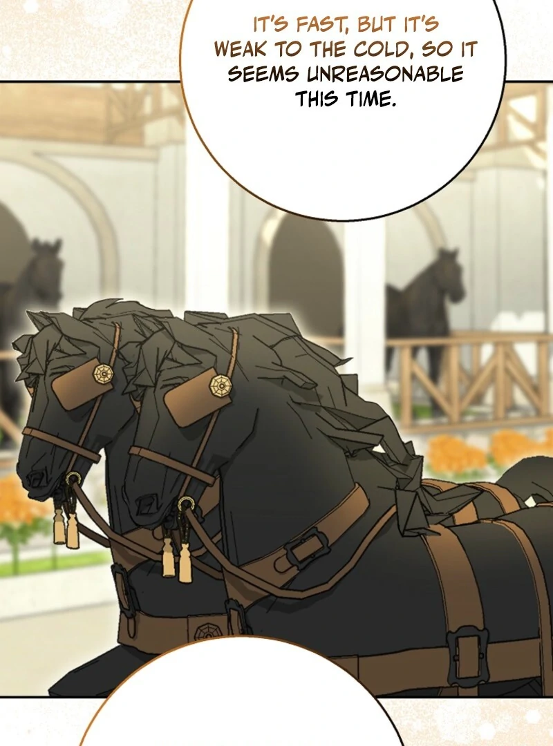 Read The snow leopard baby of the black leopard family Manga Online