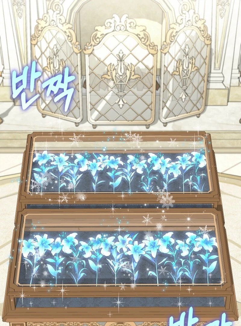 Read The snow leopard baby of the black leopard family Manga Online