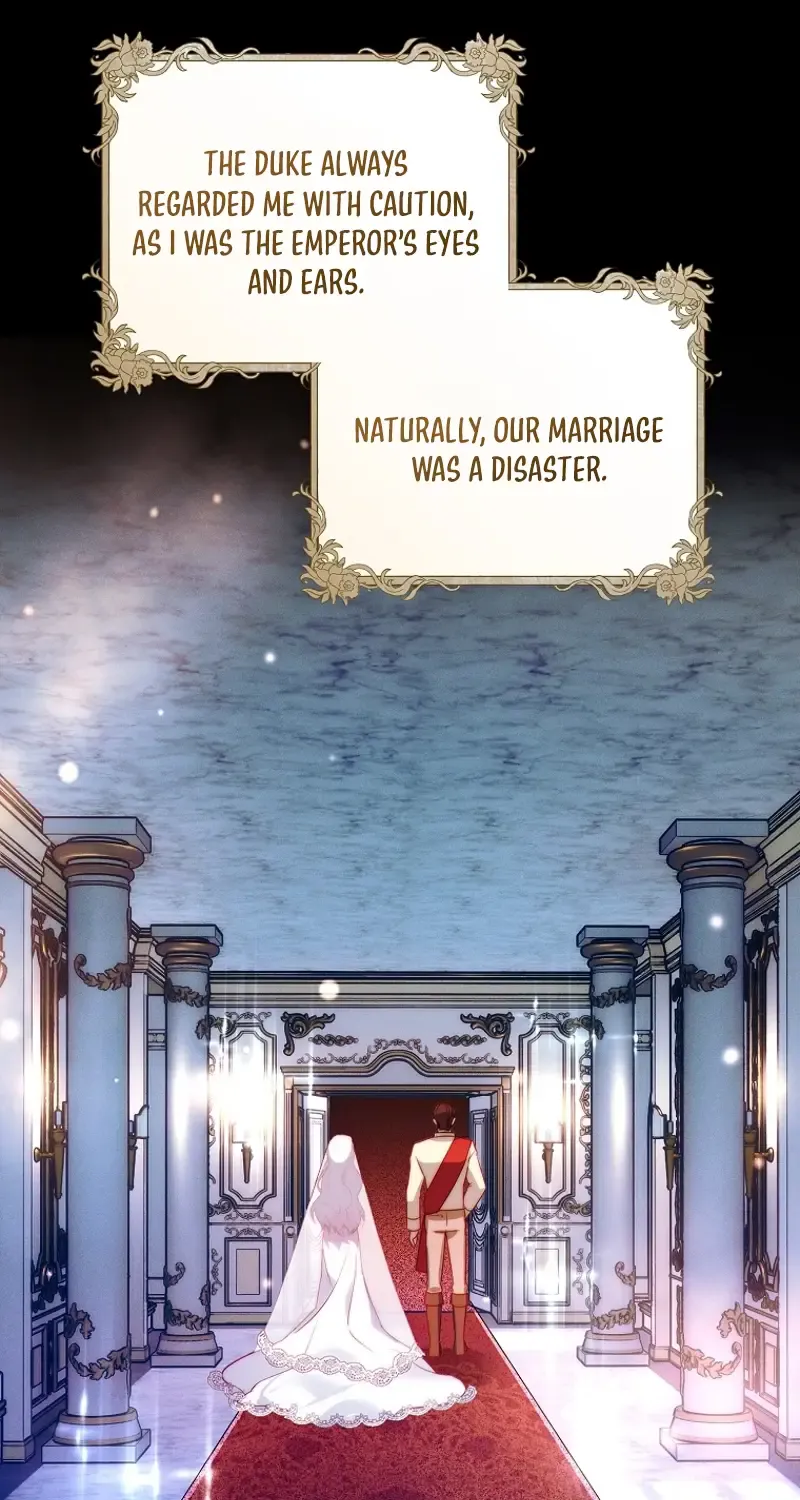 Read This Marriage Will Surely Succeed Manga Online