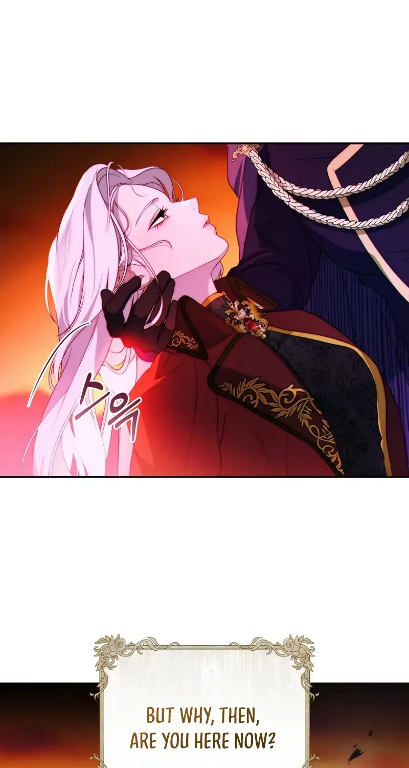 Read This Marriage Will Surely Succeed Manga Online