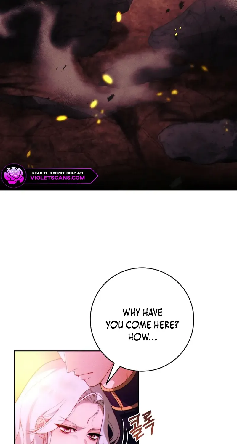 Read This Marriage Will Surely Succeed Manga Online