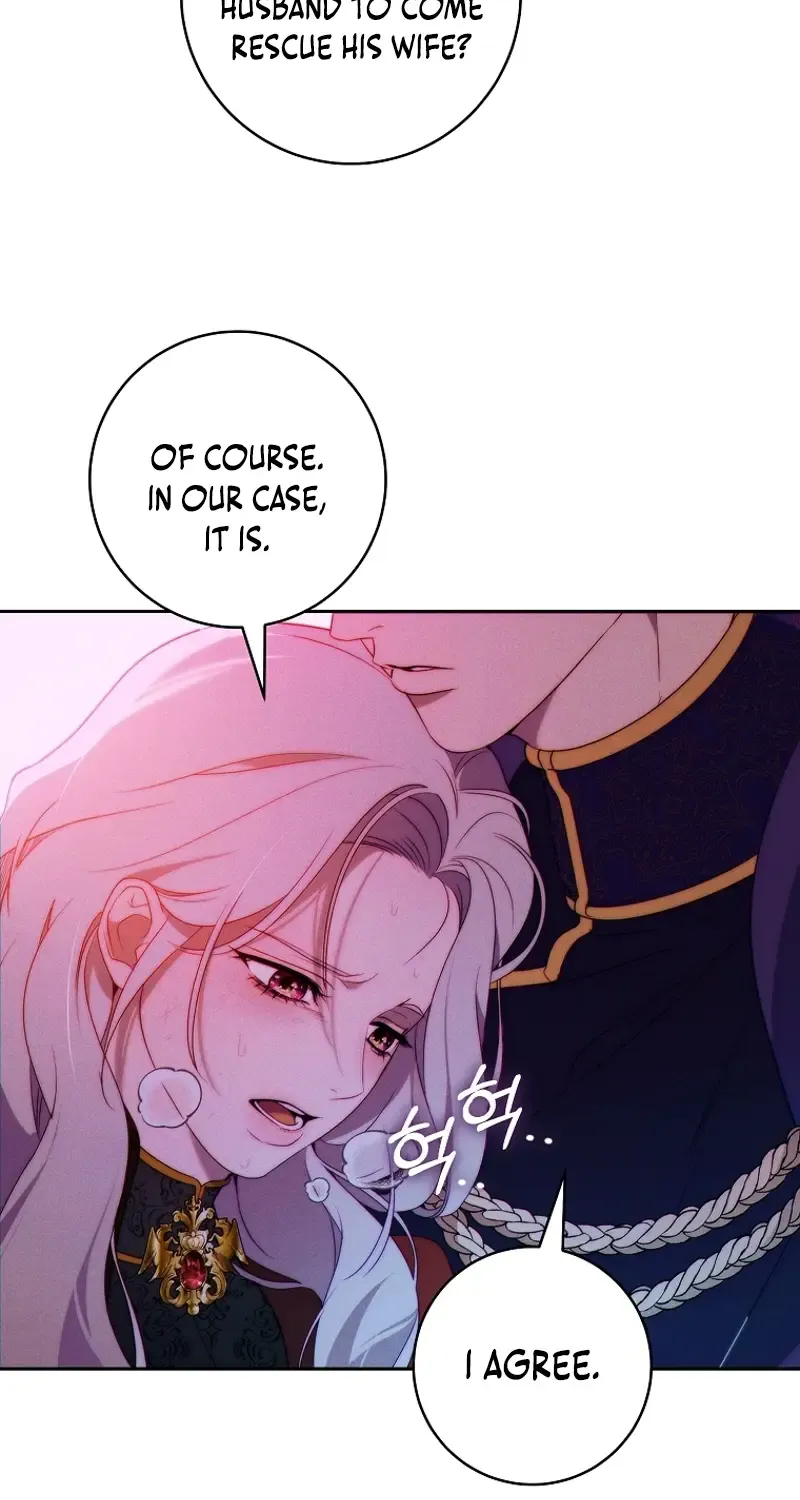 Read This Marriage Will Surely Succeed Manga Online