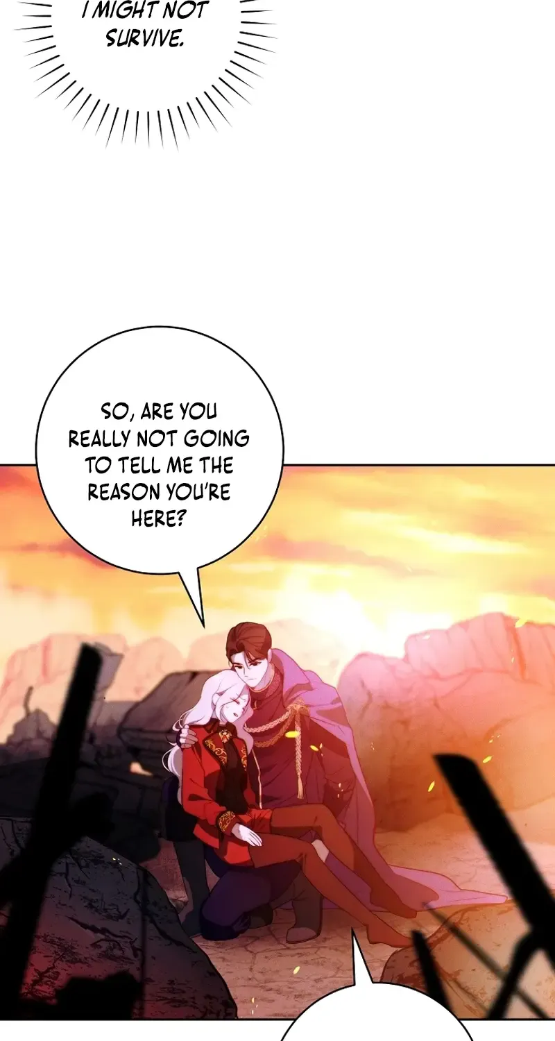 Read This Marriage Will Surely Succeed Manga Online