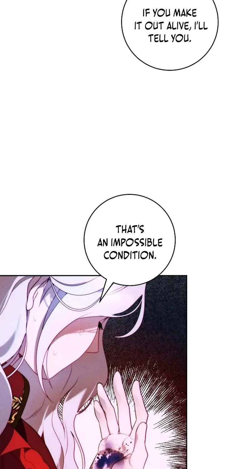 Read This Marriage Will Surely Succeed Manga Online