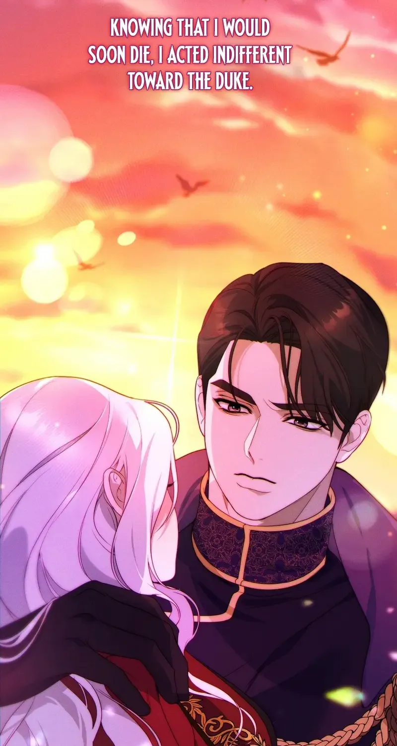 Read This Marriage Will Surely Succeed Manga Online