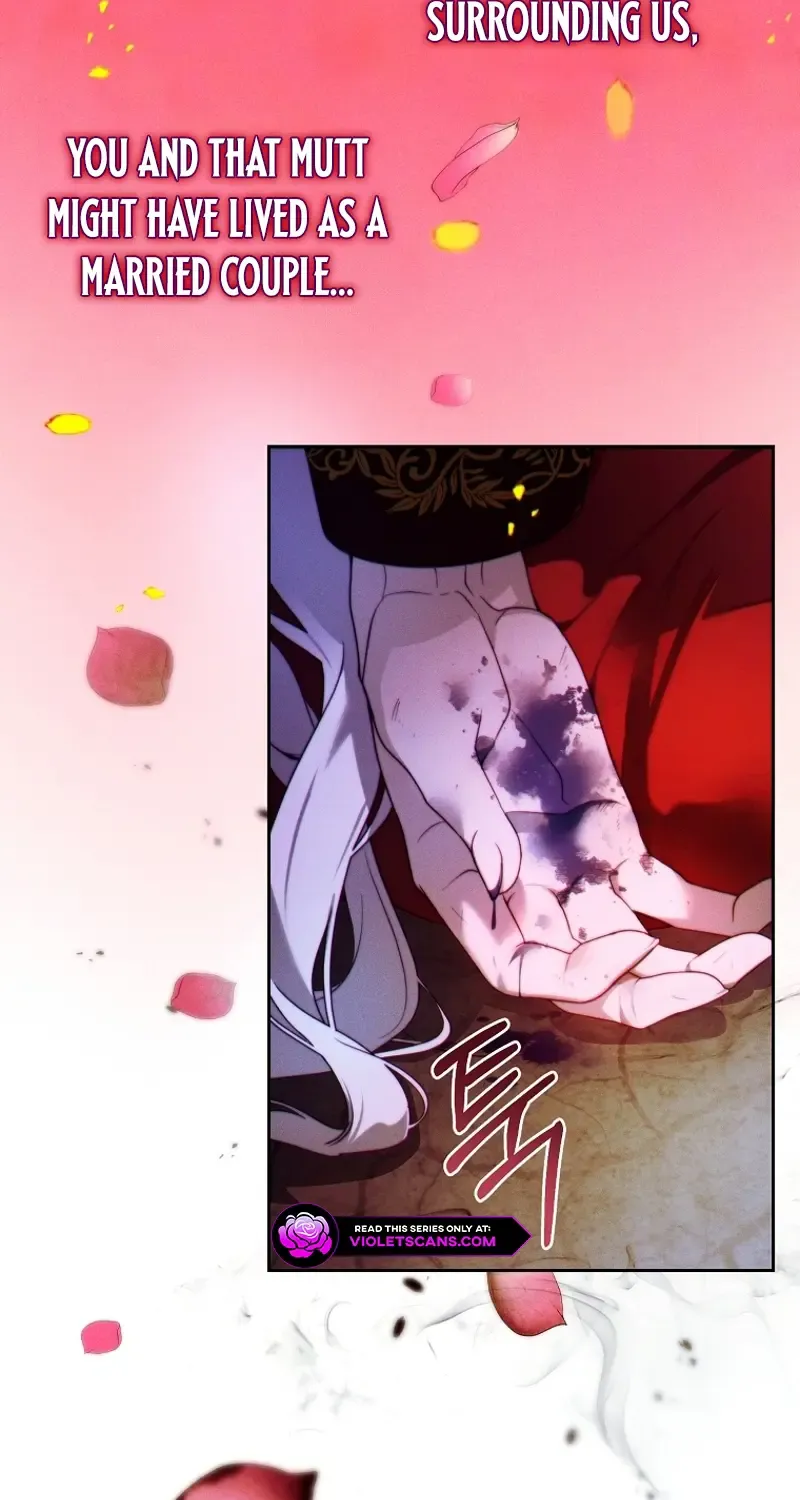 Read This Marriage Will Surely Succeed Manga Online