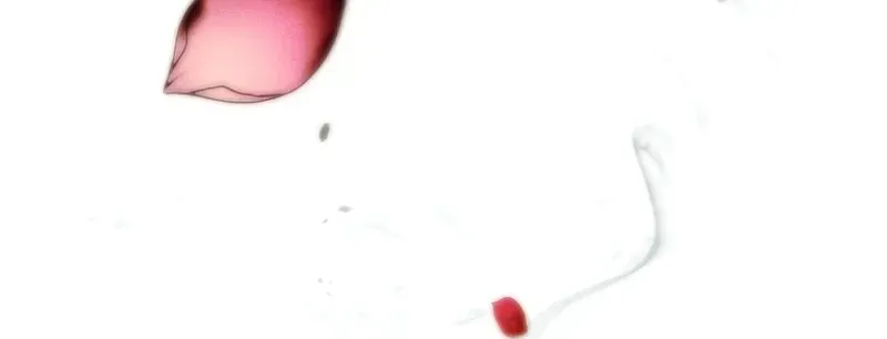 Read This Marriage Will Surely Succeed Manga Online