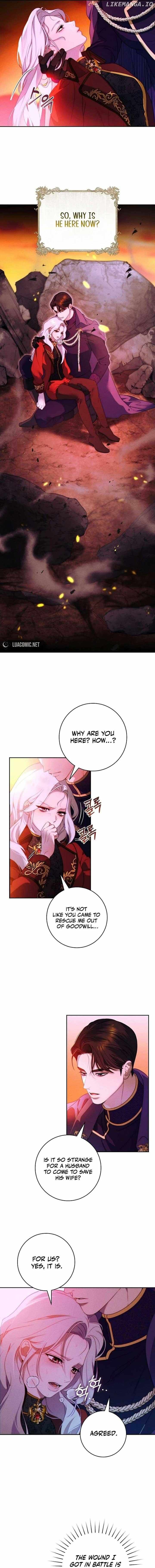 Read This Marriage Will Surely Succeed Manga Online