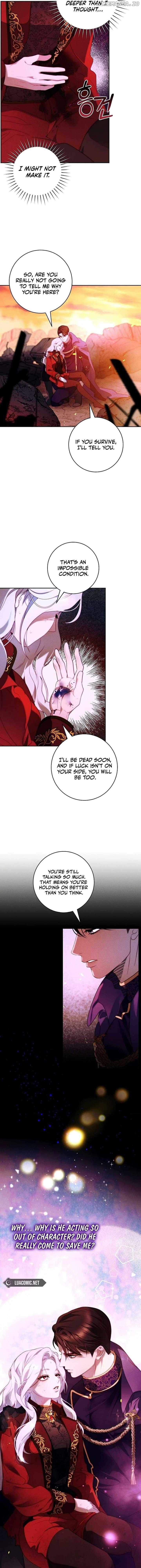 Read This Marriage Will Surely Succeed Manga Online