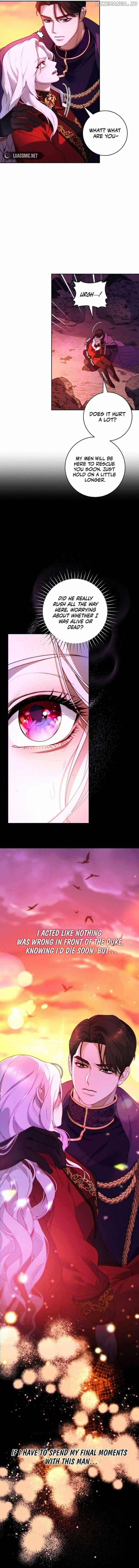 Read This Marriage Will Surely Succeed Manga Online