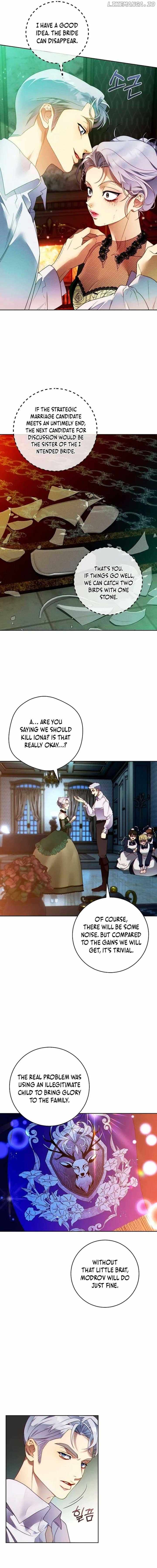 Read This Marriage Will Surely Succeed Manga Online