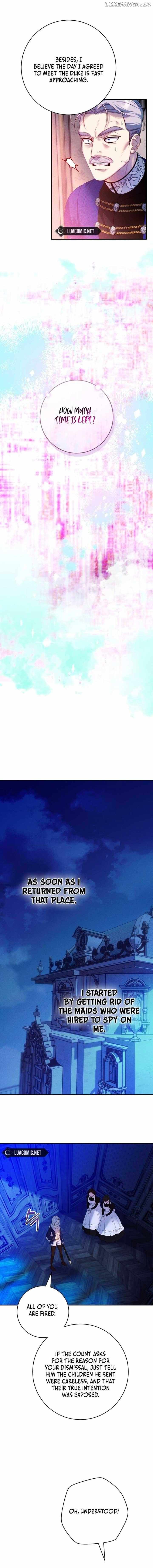 Read This Marriage Will Surely Succeed Manga Online