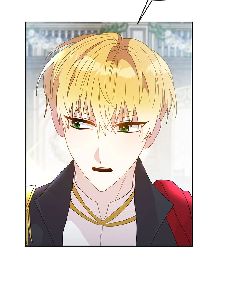 Read This Marriage Will Surely Succeed Manga Online