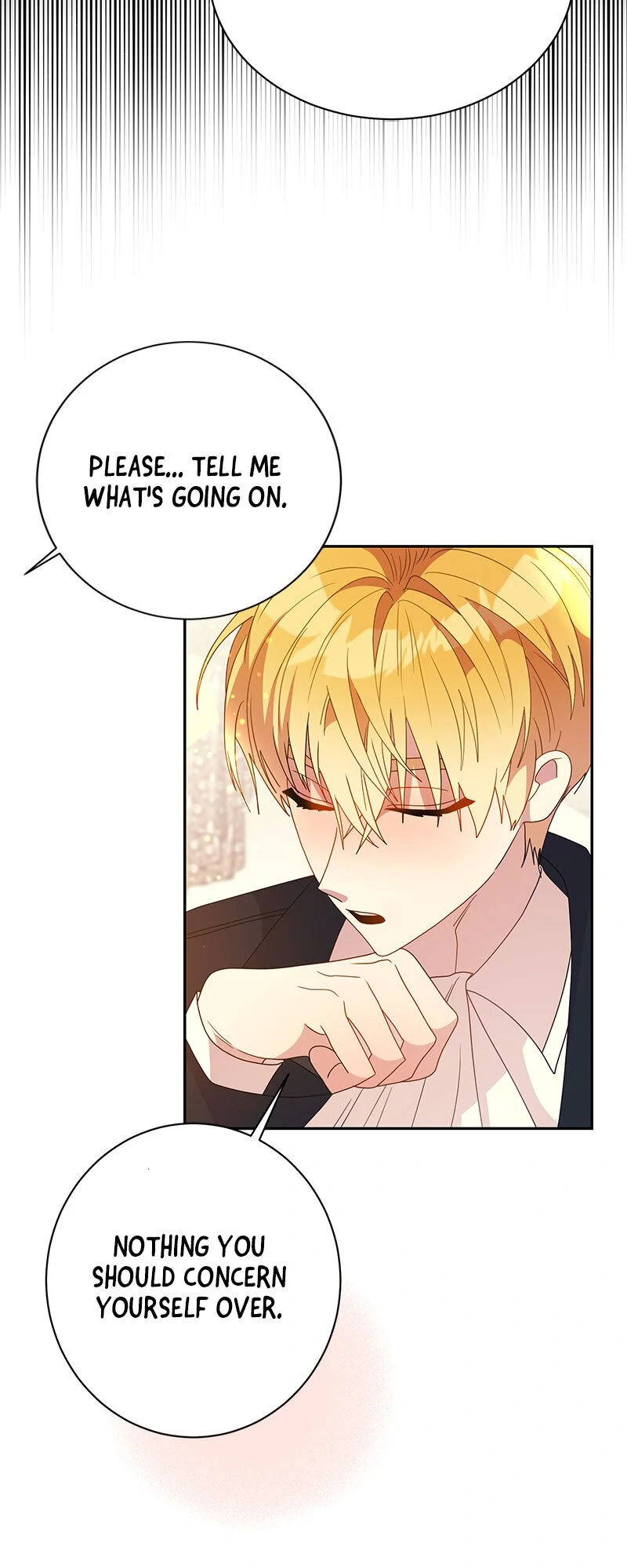 Read This Marriage Will Surely Succeed Manga Online