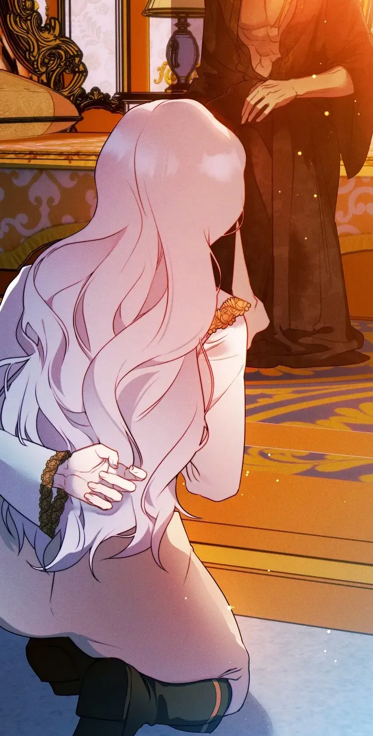 Read This Marriage Will Surely Succeed Manga Online