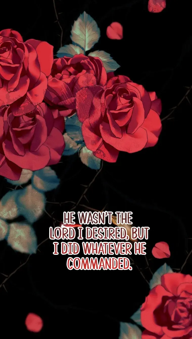 Read This Marriage Will Surely Succeed Manga Online