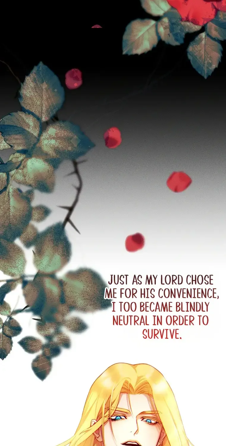 Read This Marriage Will Surely Succeed Manga Online