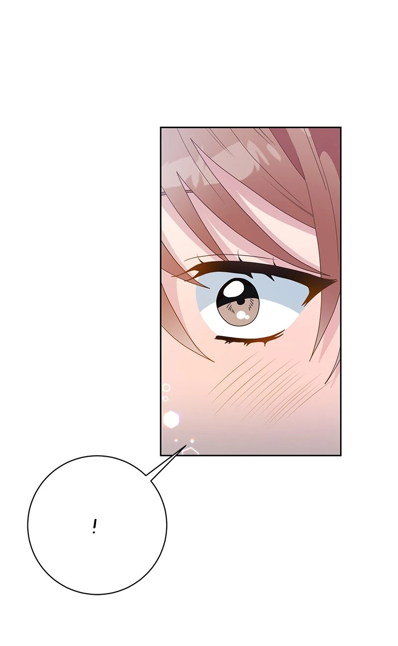 Read This Marriage Will Surely Succeed Manga Online