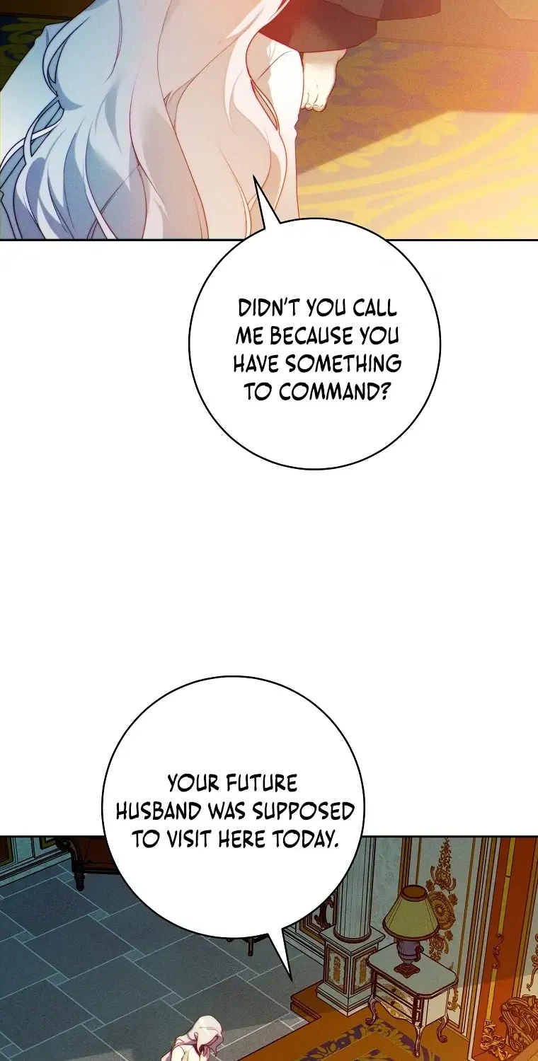 Read This Marriage Will Surely Succeed Manga Online