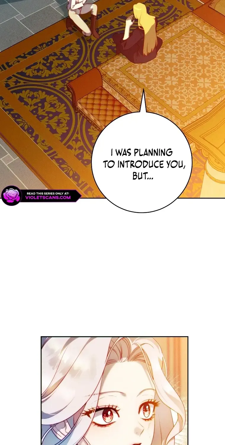 Read This Marriage Will Surely Succeed Manga Online