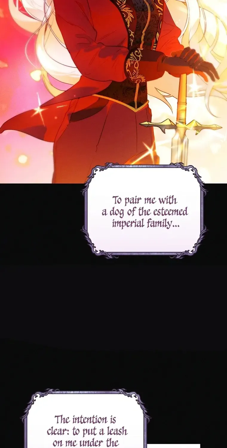 Read This Marriage Will Surely Succeed Manga Online