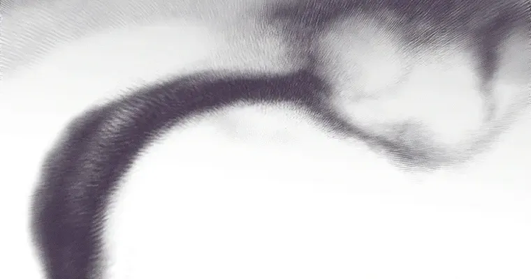 Read This Marriage Will Surely Succeed Manga Online