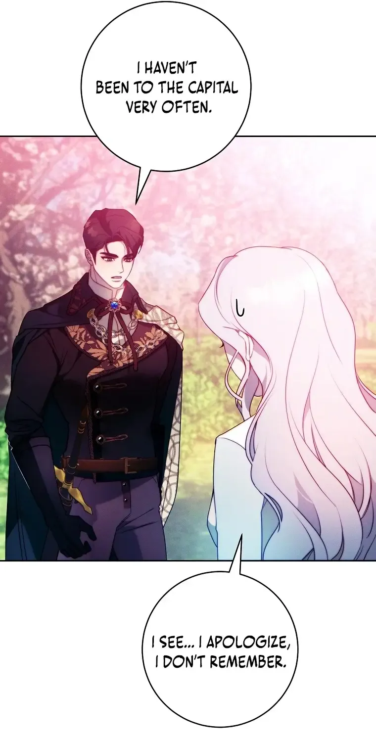 Read This Marriage Will Surely Succeed Manga Online