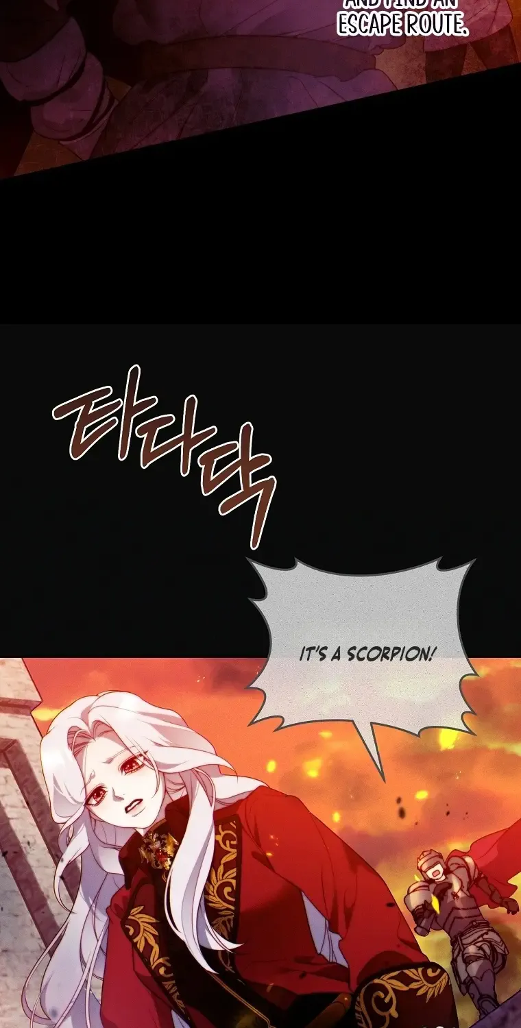 Read This Marriage Will Surely Succeed Manga Online