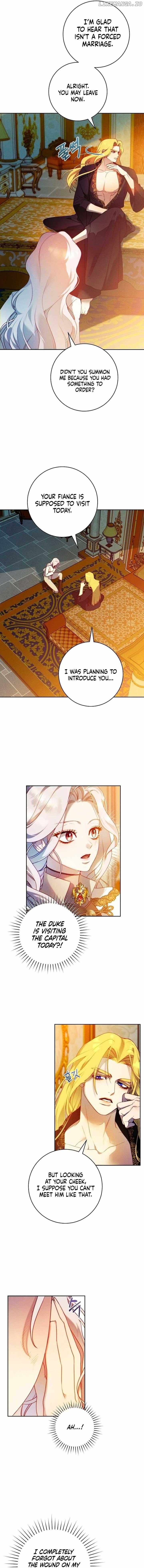 Read This Marriage Will Surely Succeed Manga Online