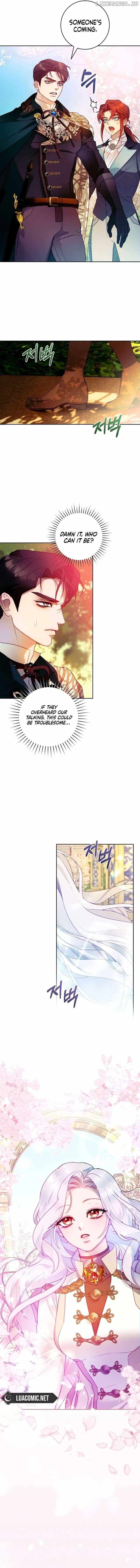 Read This Marriage Will Surely Succeed Manga Online