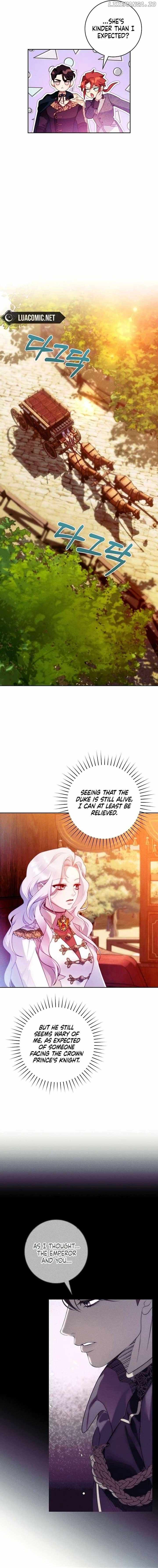 Read This Marriage Will Surely Succeed Manga Online