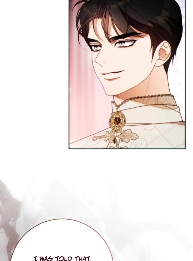 Read This Marriage Will Surely Succeed Manga Online