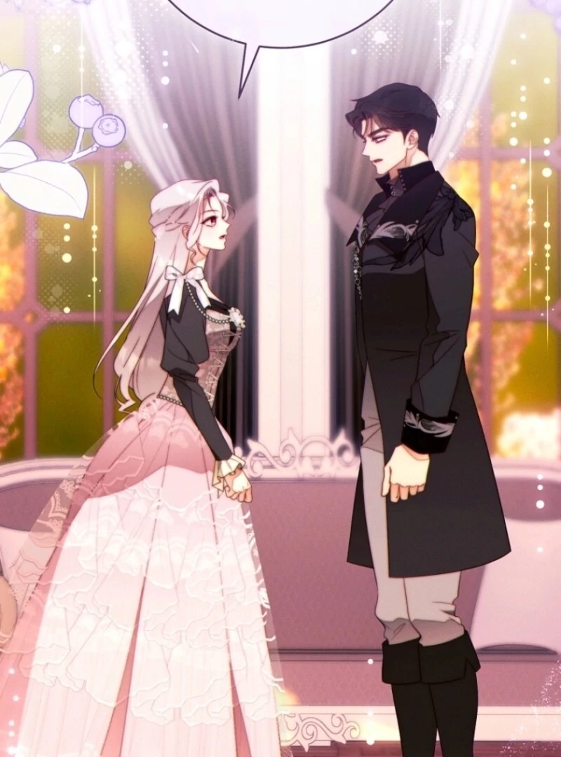 Read This Marriage Will Surely Succeed Manga Online