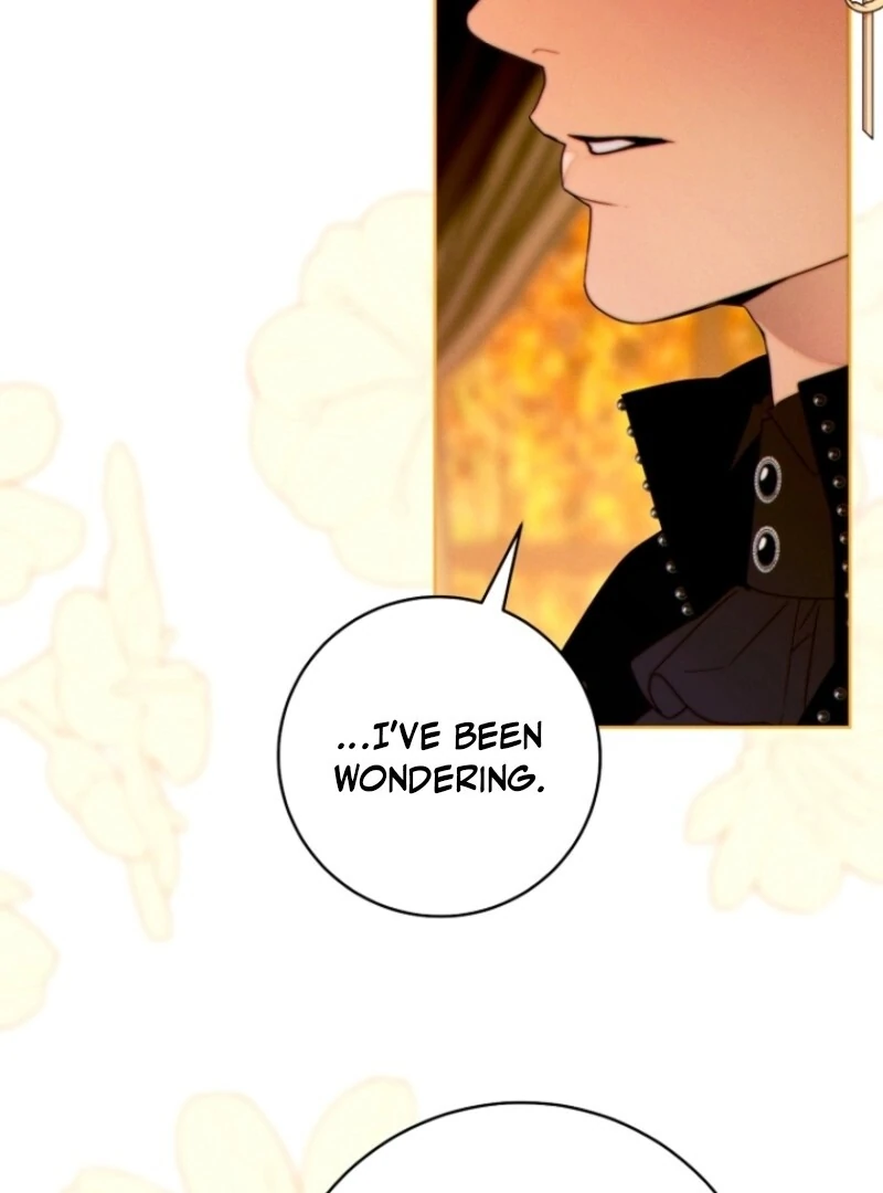 Read This Marriage Will Surely Succeed Manga Online