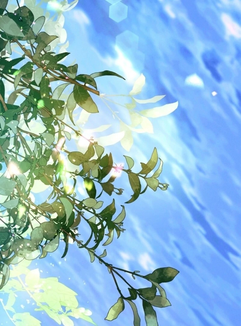 Read This Marriage Will Surely Succeed Manga Online