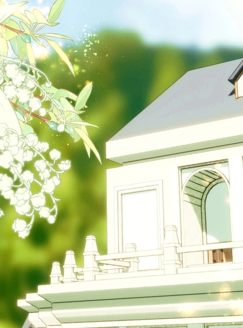 Read This Marriage Will Surely Succeed Manga Online