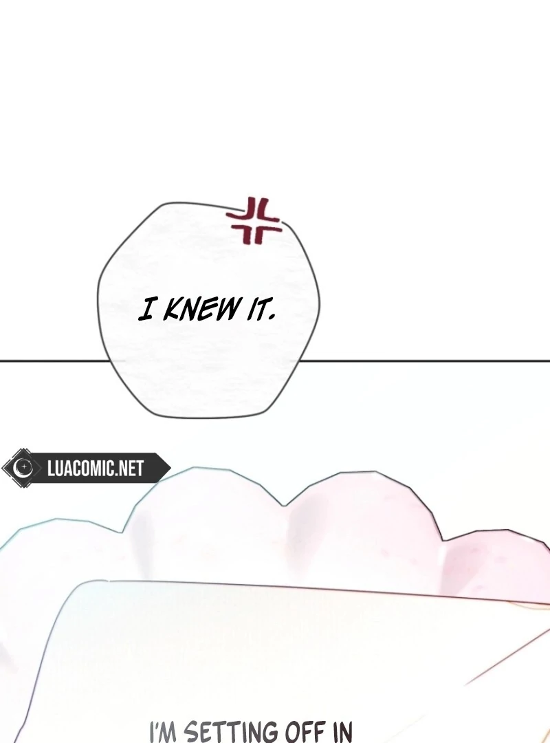 Read This Marriage Will Surely Succeed Manga Online