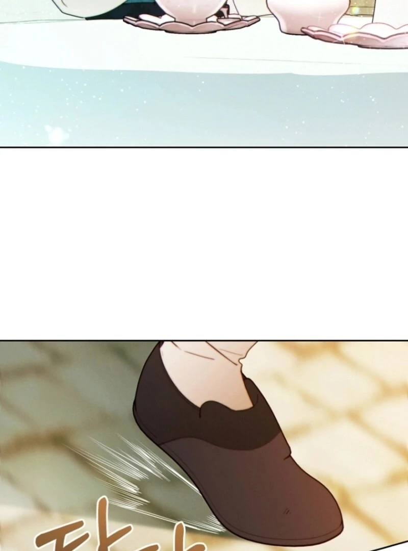 Read This Marriage Will Surely Succeed Manga Online