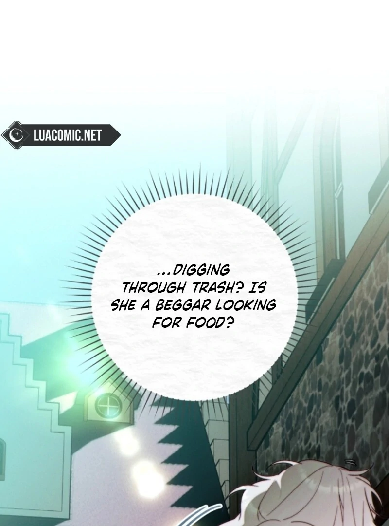 Read This Marriage Will Surely Succeed Manga Online