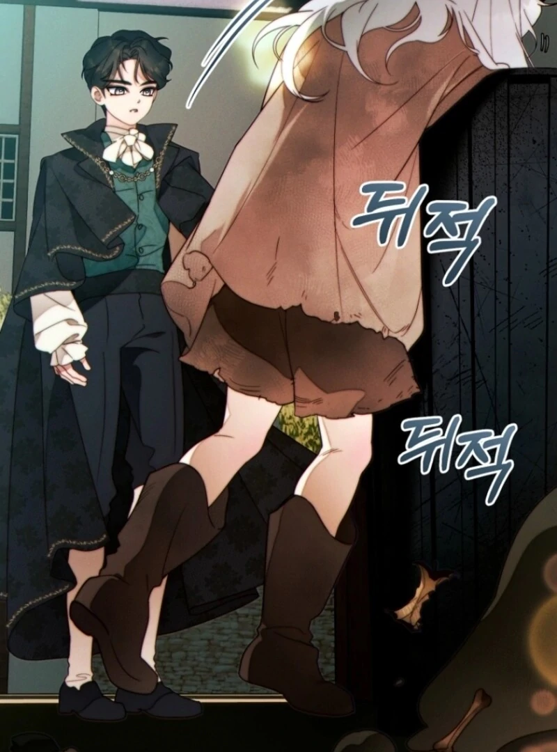 Read This Marriage Will Surely Succeed Manga Online