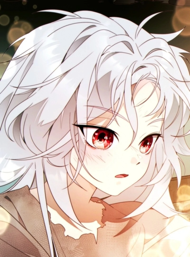 Read This Marriage Will Surely Succeed Manga Online