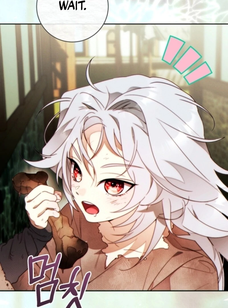 Read This Marriage Will Surely Succeed Manga Online