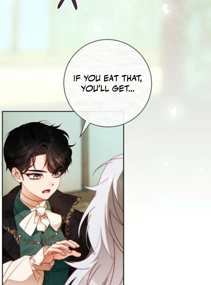 Read This Marriage Will Surely Succeed Manga Online