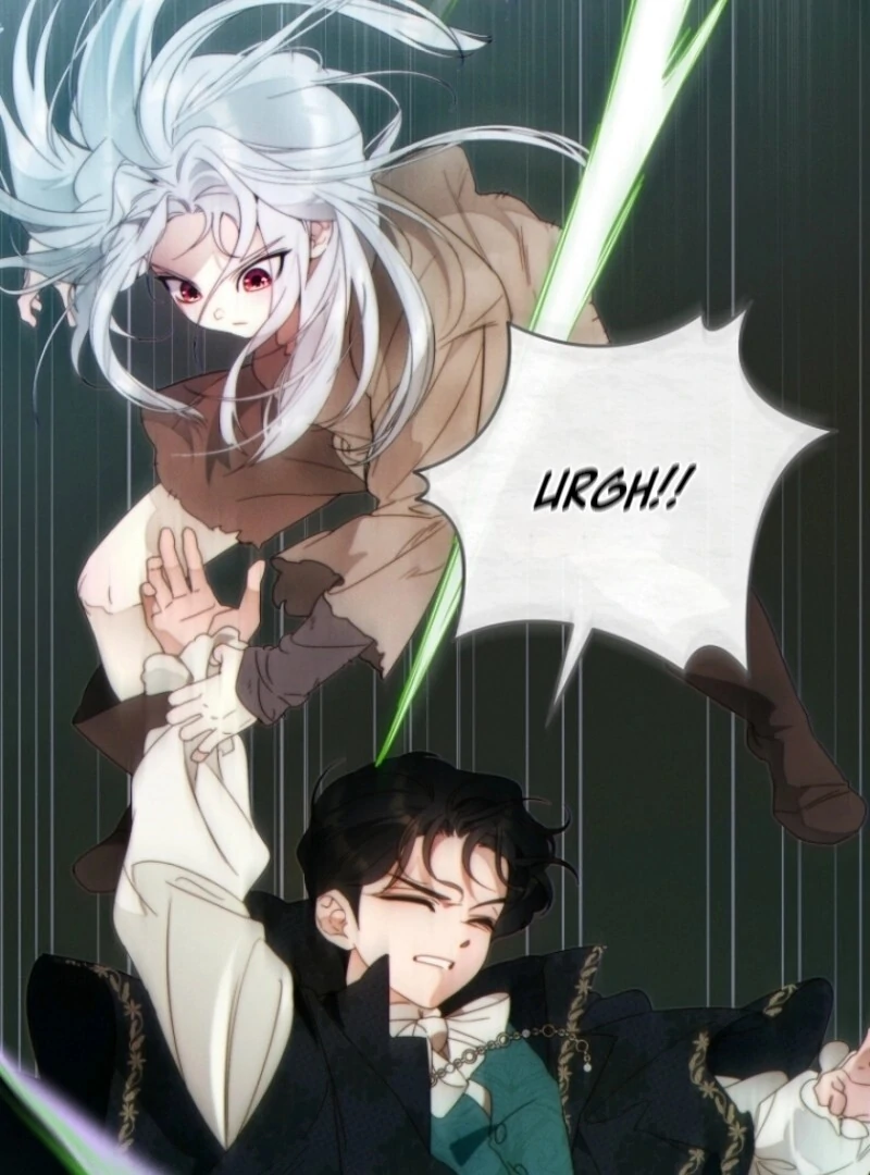 Read This Marriage Will Surely Succeed Manga Online