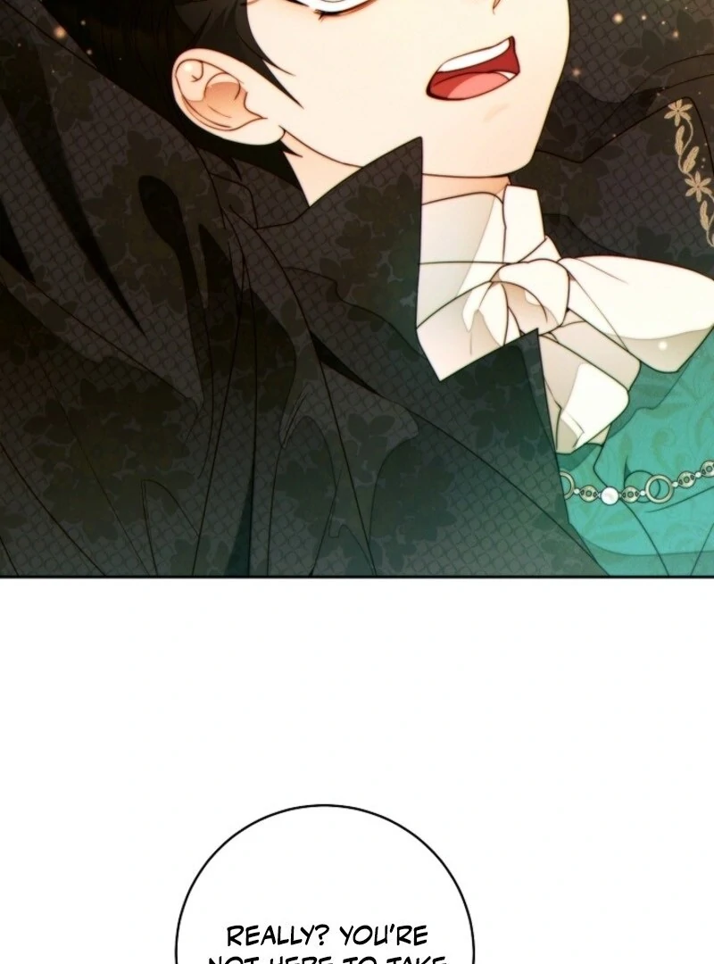 Read This Marriage Will Surely Succeed Manga Online