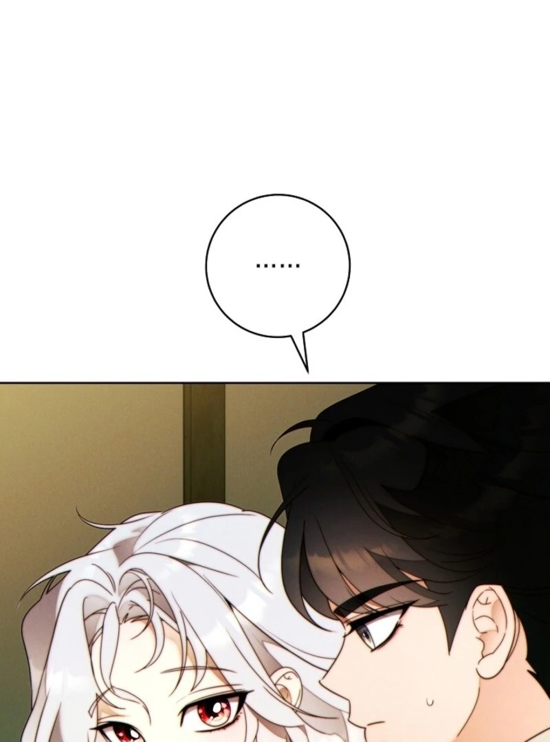 Read This Marriage Will Surely Succeed Manga Online