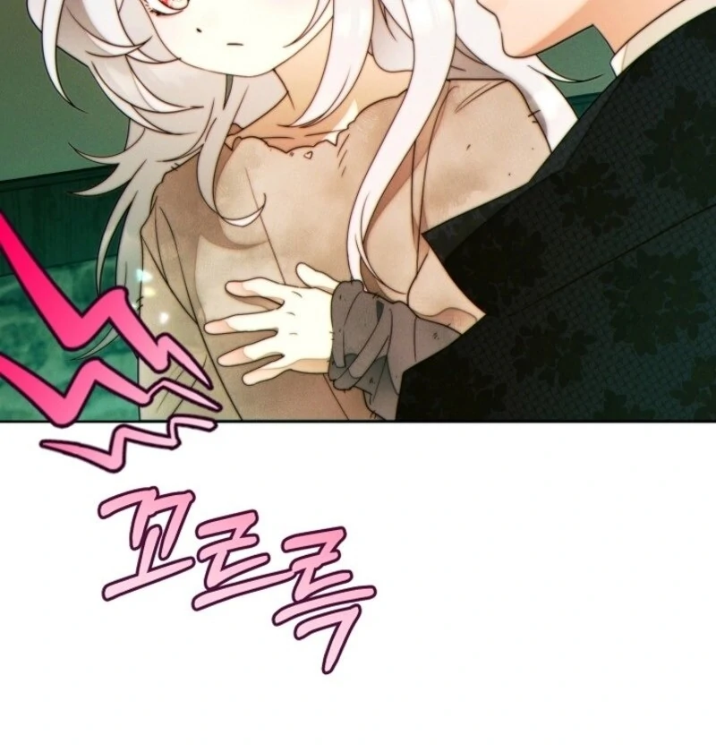 Read This Marriage Will Surely Succeed Manga Online